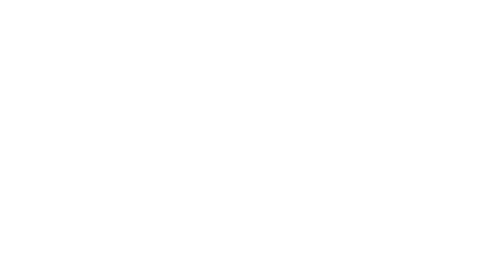 Logo STS