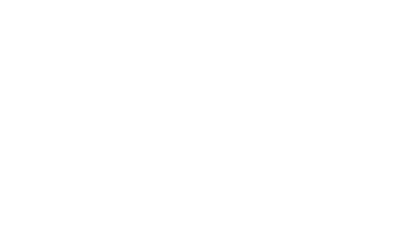 Logotipo STS